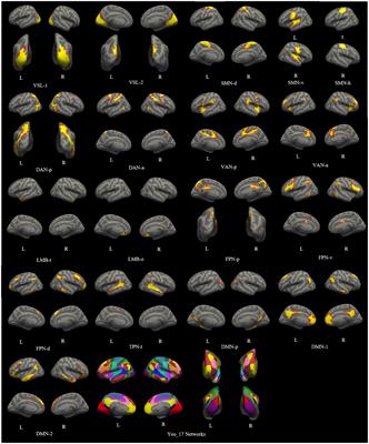 Consistency and stability of individualized cortical functional networks parcellation at 3.0 T and 5.0 T MRI